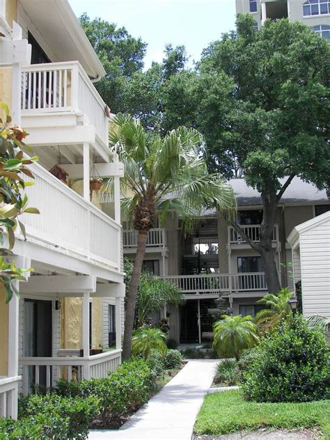 Bay Oaks Apartments For Rent In Tampa Fl