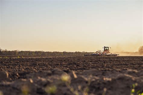 Tipps für optimale Bodenbearbeitung bei Hanf Hemp Impact