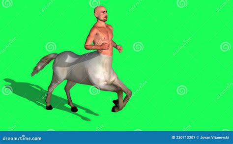 Male Centaur Half Horse Half Man On Green Screen Stock Illustration