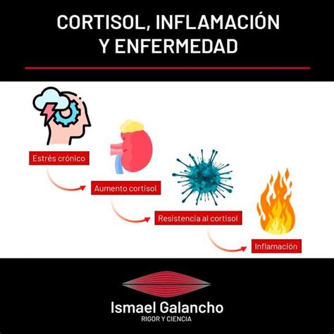 Cortisol inflamación y enfermedad Ismael Galancho