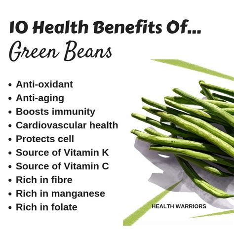 Health Benefits Of Green Beans You Need To Know Green Beans Benefits Watermelon Nutrition