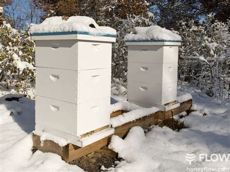 How Do I Prepare My Flow Hive For Winter