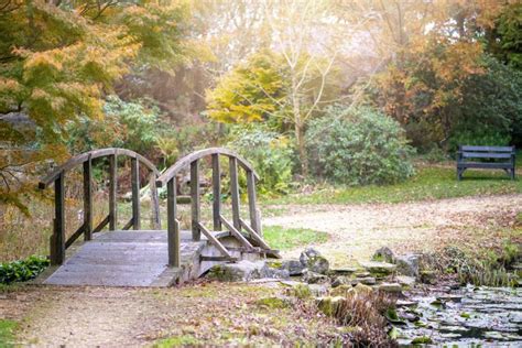 Meditation Garden Ideas For A Peaceful Outdoor Space Lovetoknow