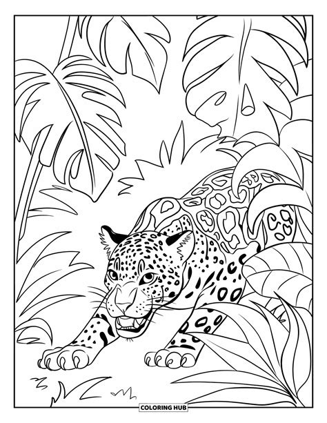 105 Jaguar Ausmalbilder Für Kinder And Erwachsene Kostenlose Pdfs Zum