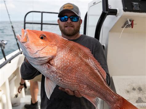 Atlantic Snapper Reductions Expected Salt Water Sportsman