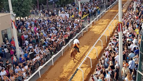 Cisterna Tutto Pronto Per Il Palio Dell Anello Latina News