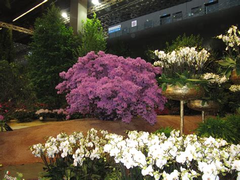 A trip to Euroflora « Tuscan Rooms blog