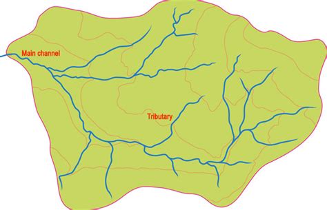 What is a tributary? A tributary is a branch of a river (not its main ...