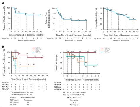 A Kaplan Meier Curves For DOR PFS And OS For All Patients And B