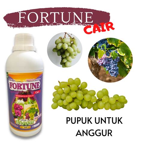 Jual Pupuk Booster Cair Anggur Pupuk Anggur Agar Cepat Berbuah Pupuk