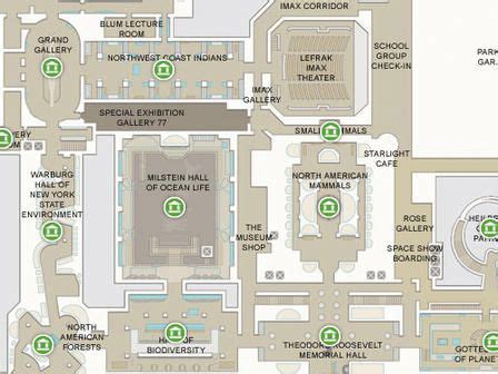 √ Natural History Museum Map Nyc - Alumn Photograph