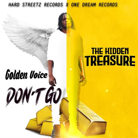 Dont Go Song And Lyrics By Golden Voice Spotify