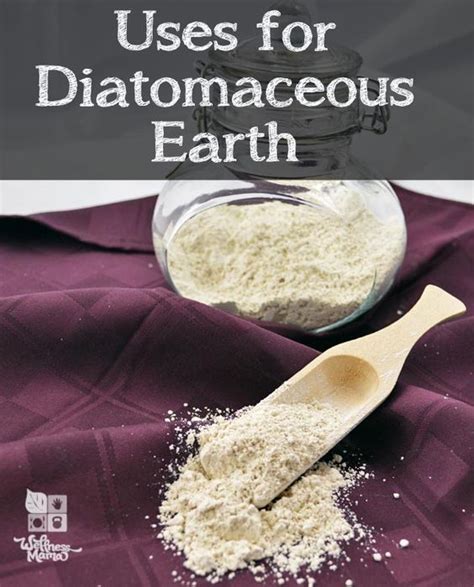 Amazing Uses For Diatomaceous Earth Around The Home Diatomaceous