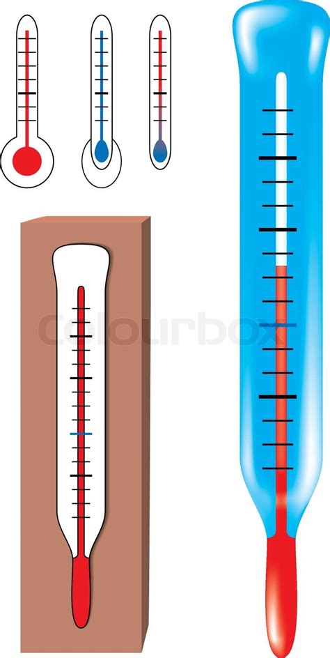 Vector Thermometers Stock Vector Colourbox