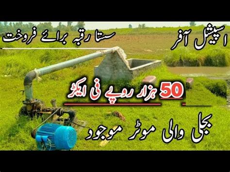 Land For Sale 50 Hazar Per Acer Agriculture Land For Sale In Pakistan