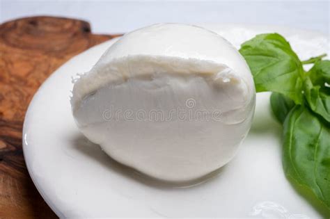 White Ball Of Italian Soft Cheese Mozzarella Di Bufala Campana Served