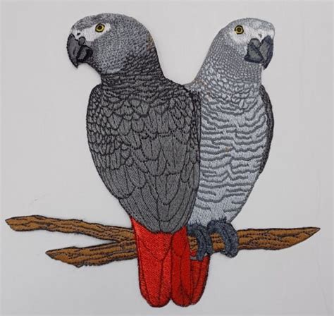 African Grey Parrots Pair Bird Embroidered Patch 7x 7 Free USA Shipping