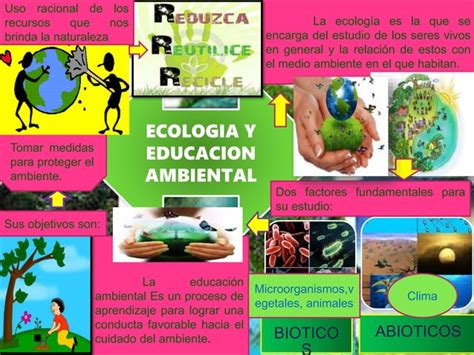 La Ecologia Y La Educaci N Ambiental Ppt Descarga Gratuita