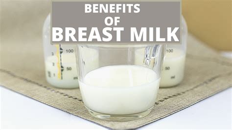 BENEFITS OF BREAST MILK WHY BREAST MILK IS ESSENTIAL FOR BABIES