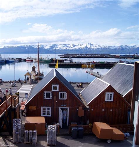 Exploring Husavik, North Iceland