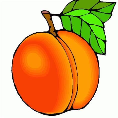 Peach Pit Clip Art