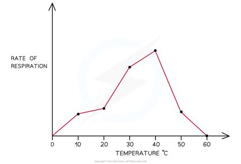 Cie A Level Biology Aerobic Respiration Effect Of