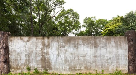 Free Photo Wall With Humid And Ancient