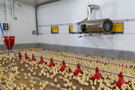 Комплекты оборудования для напольного содержания бройлеров, индейки ...
