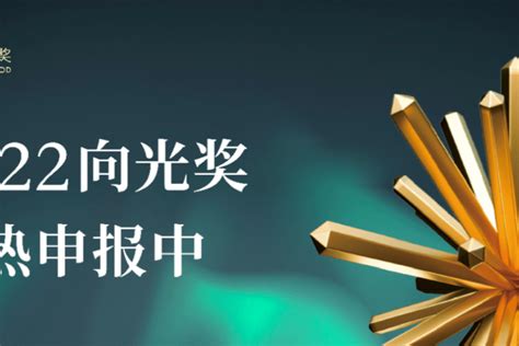 2022向光奖申报指南丨年度社会企业top10，夜空中最亮的星！奖项商业问题