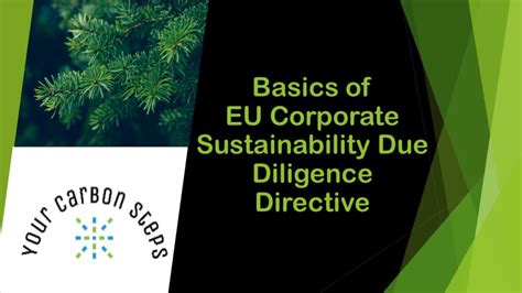 Eu Corporate Sustainability Due Diligence Directive Csddd Your