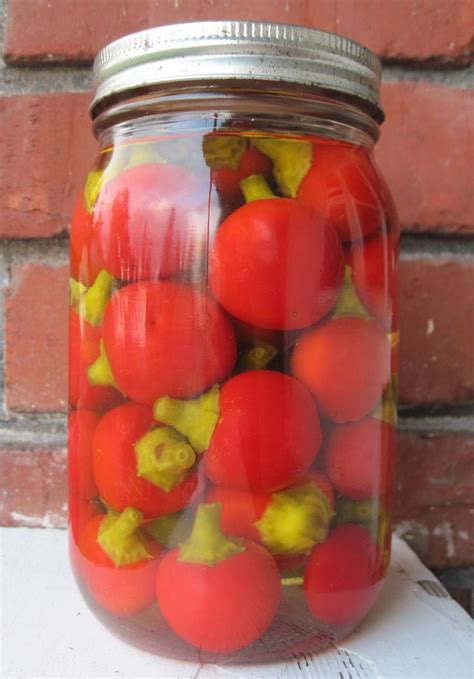 Pickled Cherry Peppers Recipe For Stuffing A Gardener S Guide