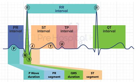 St Segment Prehospital Hub