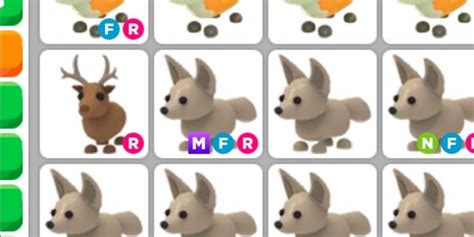 Beli Item Fennec Fox Pet Adopt Me Roblox Terlengkap Dan Termurah