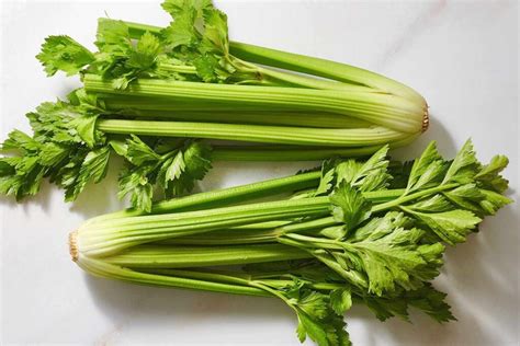 35 Cool Celery Facts