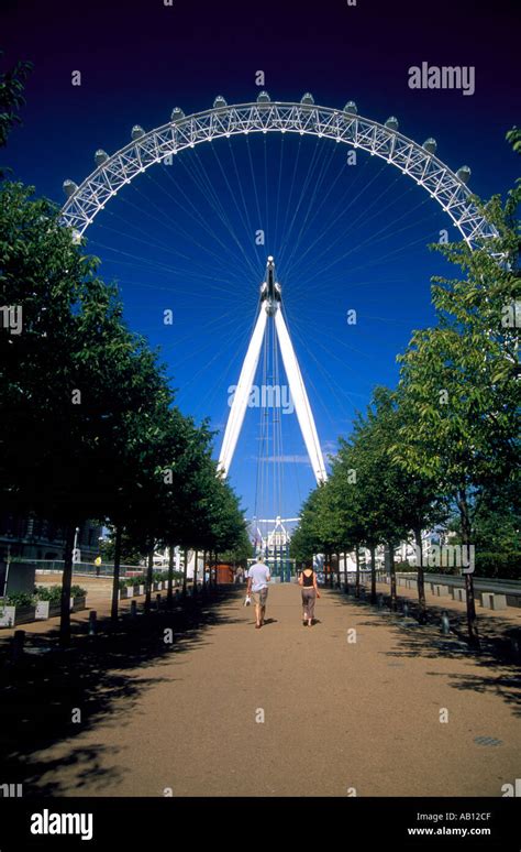 The London Eye at sunrise 2 Stock Photo - Alamy