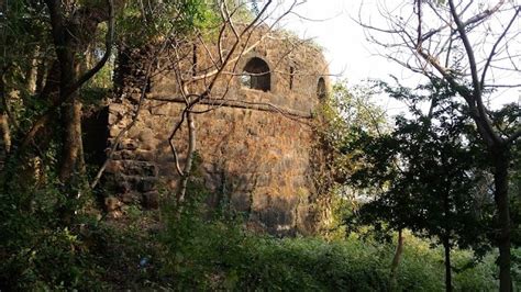 Belapur Fort Navi Mumbai What To Expect Timings Tips Trip