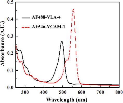 Uv Visible Absorption Spectra Of The Dye Protein Conjugate To Obtain