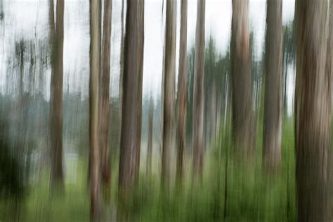 Wald Ein Tannenwald Am Oderteich Im Harz Als Mitzieher Fo Flickr