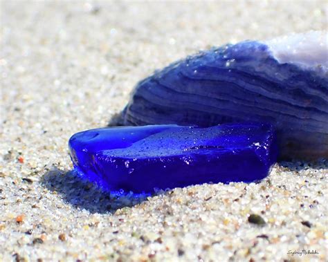 Cobalt Blue Sea Glass And Blue Mussel Shell On Sandy Beach Photograph By Sydney Michalski