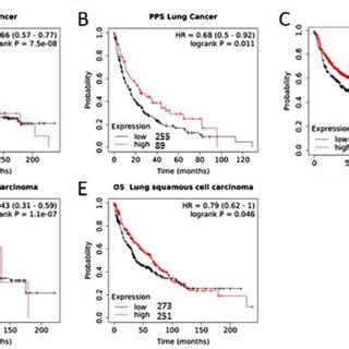 Kaplan Meier Survival Curves Comparing The High And Low Expression Of