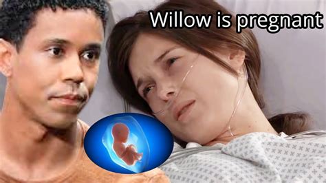 Willow Is Pregnant With Drew Tj Is The Unacknowledged Father Of The