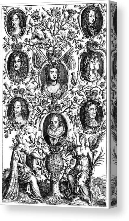 Queen Annes 1665-1714 Family Tree Canvas Print / Canvas Art by Print ...