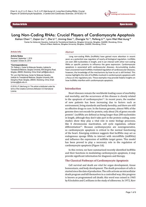 Pdf Long Non Coding Rnas Crucial Players Of Cardiomyocyte Apoptosis