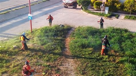 Intenso Operativo De Desmalezamiento En Colectora De Costanera Norte