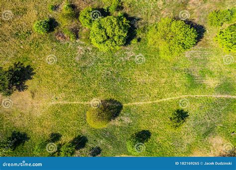 Top View Aerial Shot Of Green Field With Grass And Trees Stock Image