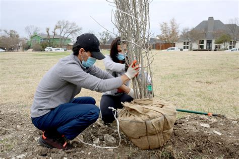 Branching Out Planting Texas Trees At Dallas Parks Dallas Doing Good