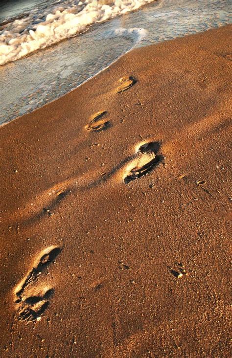 Empreintes De Pas Dans Le Sable Dessus Image Stock Image Du Vacances