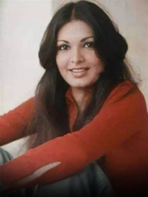 Parveen Babi S Journey As Bollywood S Trailblazing Star News24