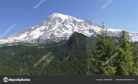 The Volcanic Summit Of Mt Rainier Emerges From Conifer Forest Stock