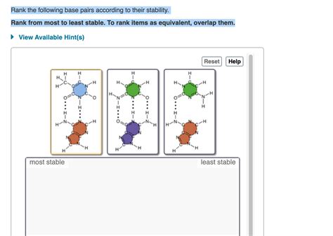 Answered Rank The Following Base Pairs According Bartleby